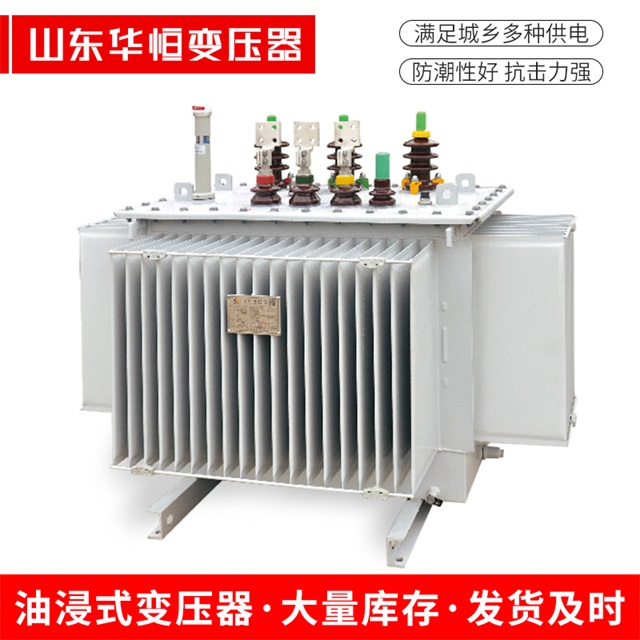 S13-10000/35嫩江嫩江嫩江电力变压器