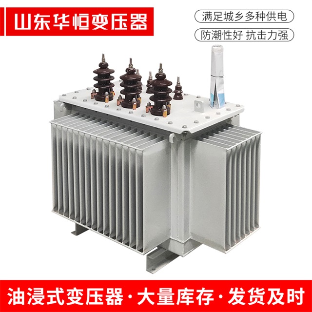S11-10000/35嫩江嫩江嫩江电力变压器价格